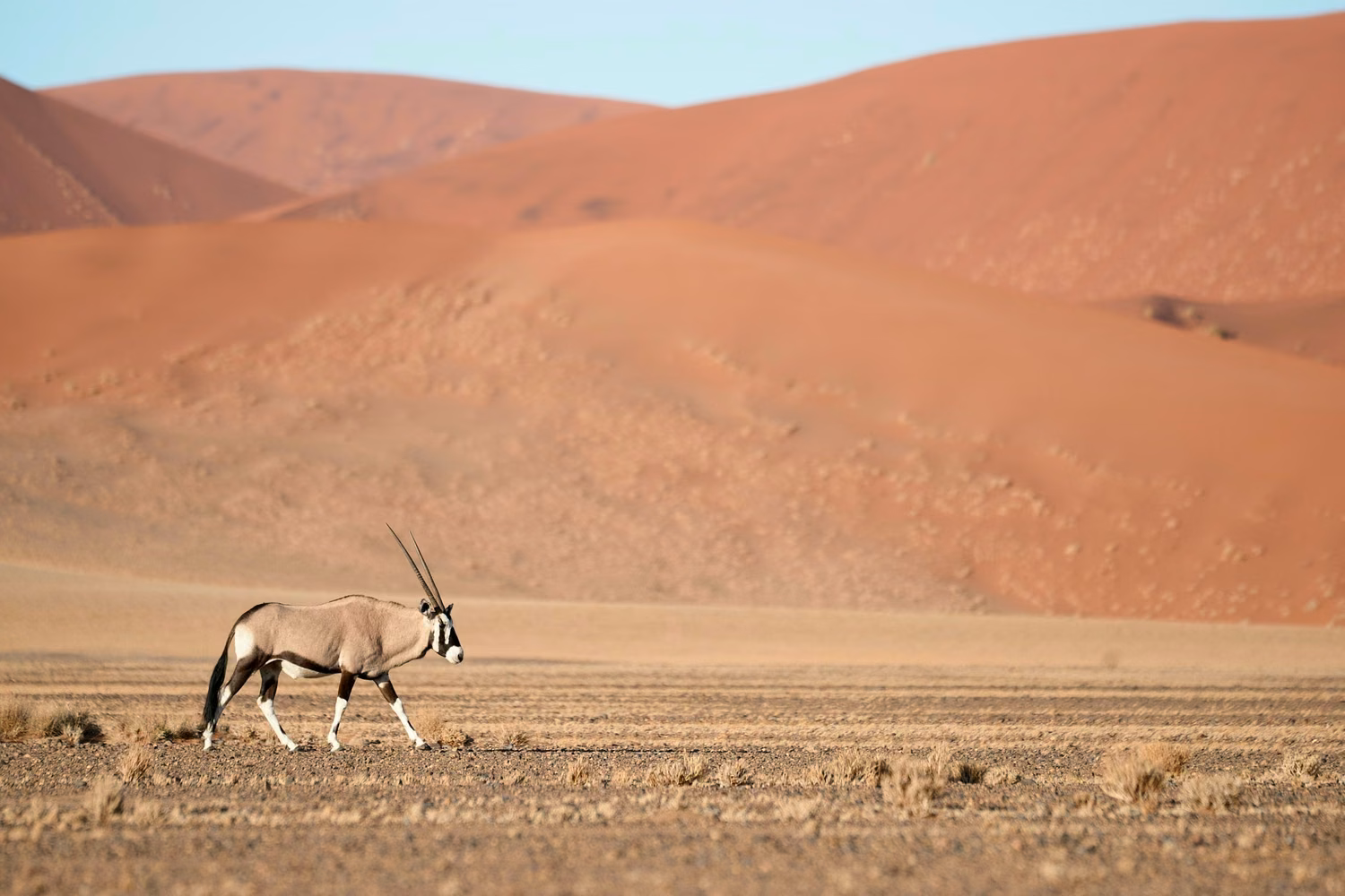 Namibia